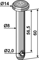 Splintbolzen Ø8x60 2