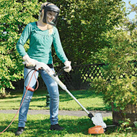 STIHL Elektro-Freischneider FSE  gallery 19_2nd