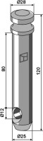 Oberlenkerbolzen 2