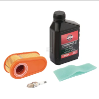 Briggs &amp; Stratton Wartungssatz f&uuml;r...