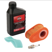 Briggs &amp; Stratton Wartungssatz DOV