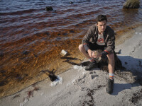 STIHL Hemdjacke Gr. XXXL HERITAGE Grün 3