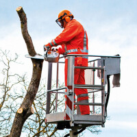 STIHL Motorsäge MS 201 TC-M, PS3, Schienenlänge 35